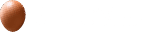 たまご商品