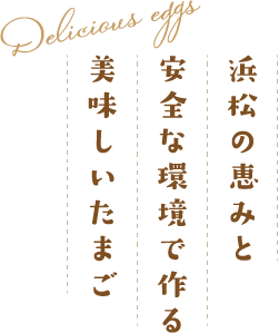 浜松の恵みと安全な環境で作る美味しいたまご
