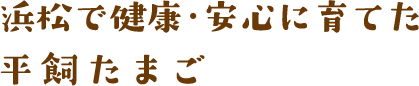 浜松で健康・安心に育てた平飼たまご